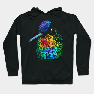 Hummingbird Colors Hoodie